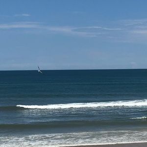 Meet your Posher, Bryan